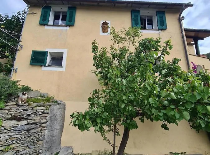 Castrusso Il Frantoio Di By Portofinovacanze 아파트